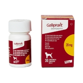 Купить Галлипрант (Galliprant) 20 мг по выгодной цене. Доставка в Регионы России.