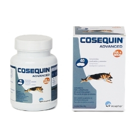 Купить Козеквин (Cosequin) в Москве.  Доставка по всей России. 