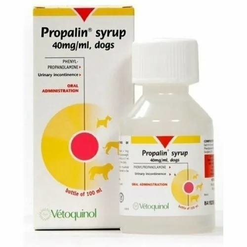 Атопический дерматит у животных: диагностика, лечение